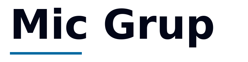 Mic Grup logo